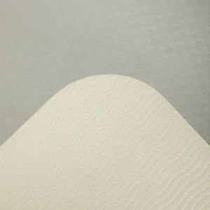 زیرانداز بدنسازی آلو مت یوگا 6 میلیمتری